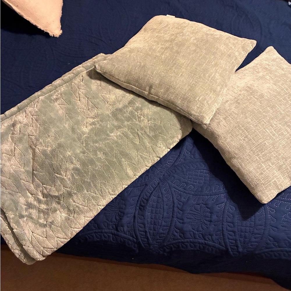 Elegant Light Gray Throw Blanket and Pillow Set
